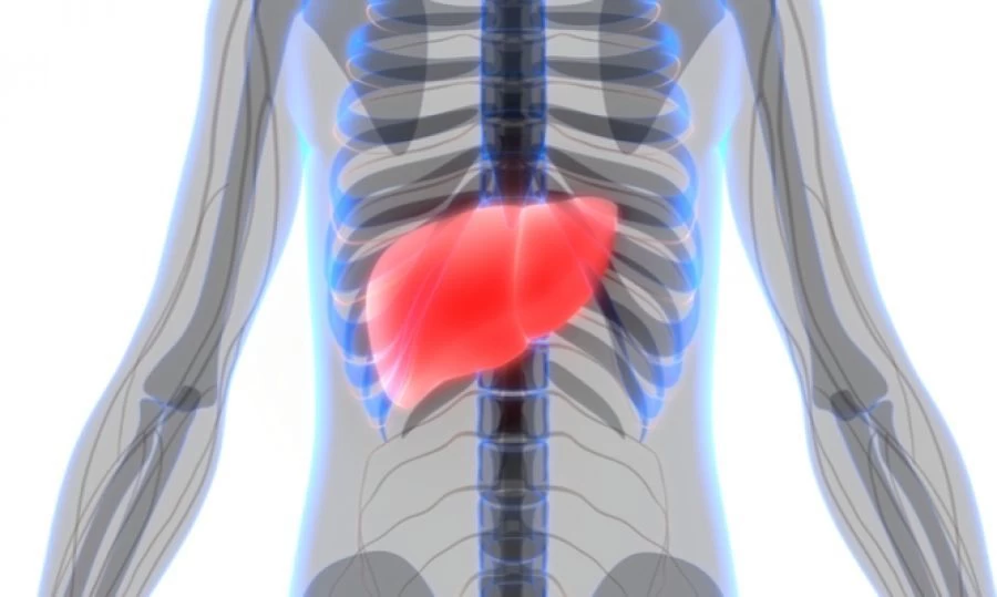 Ήπαρ: 6 απλοί τρόποι για να το προστατεύσετε